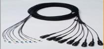 New from TE! Multi-Fiber Cable Assemblies